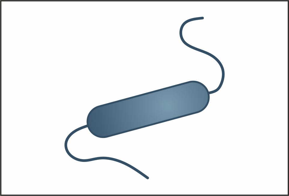 org-campylobacter